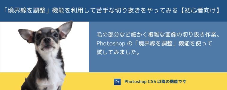 「境界線を調整」機能を利用して苦手な切り抜きをやってみる（Photoshop CS5以降）